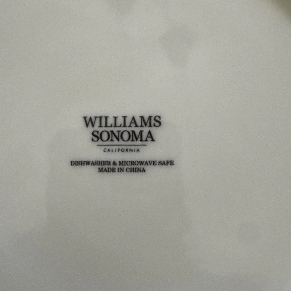 Williams Sonoma Harvest Pumpkin Plates 9